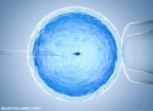 胚胎操作